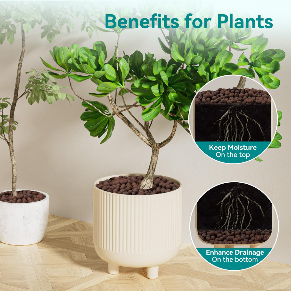 Rahato LECA hydroponics setup supports orchids and soilless growing systems.