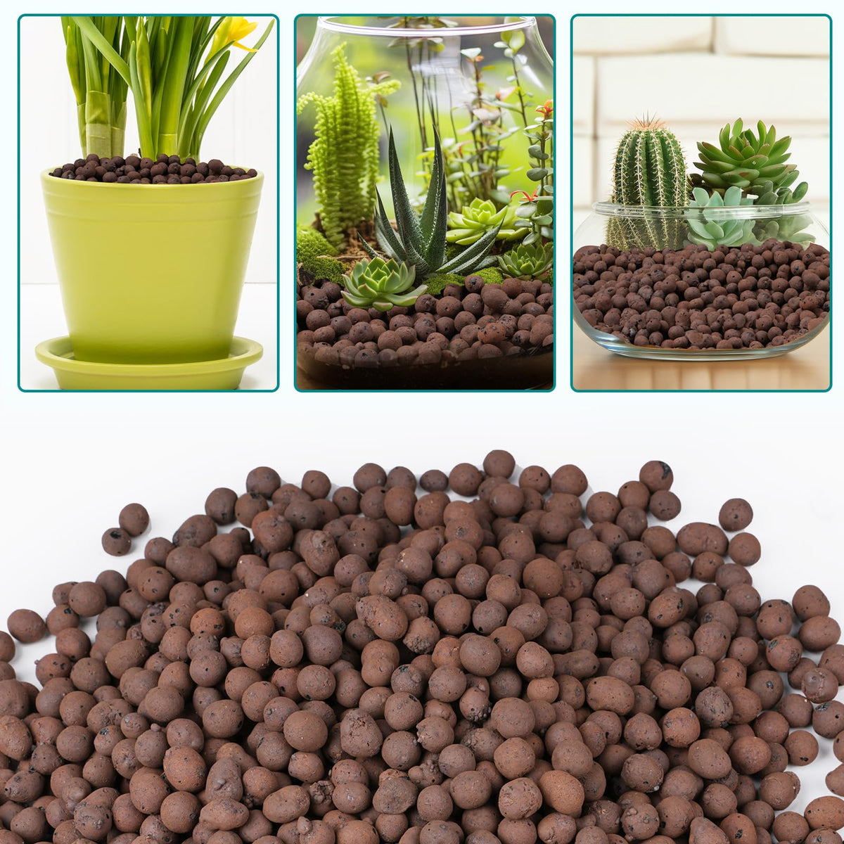 Rahato LECA soil root development for stronger plant systems.