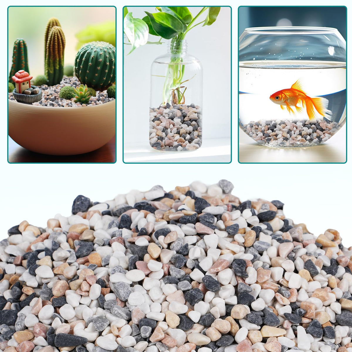 Rahato planter top-dressing highlights plant roots and creates a neat surface.