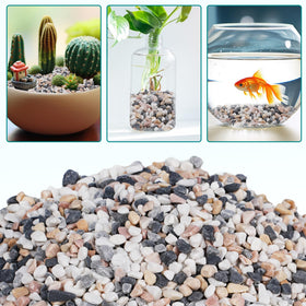 Rahato planter top-dressing highlights plant roots and creates a neat surface.