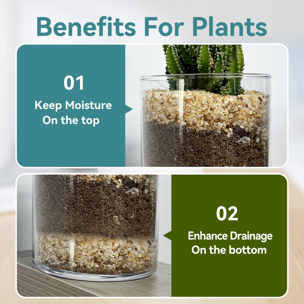Rahato silica sand for terrariums adds decorative contrast while supporting healthy rooting.