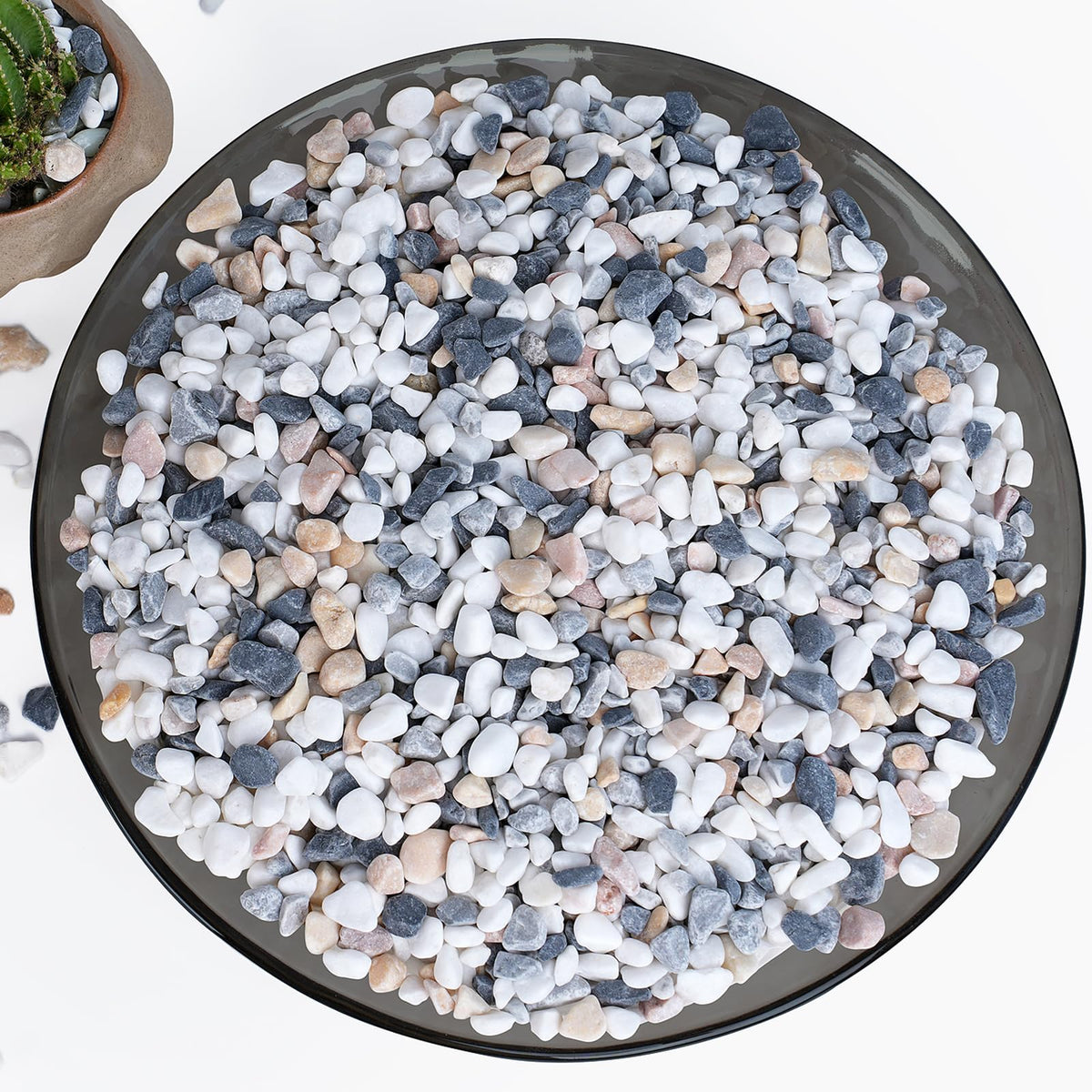 Rahato succulents pebbles close-up showing 1/5 inch stones for healthy drainage.