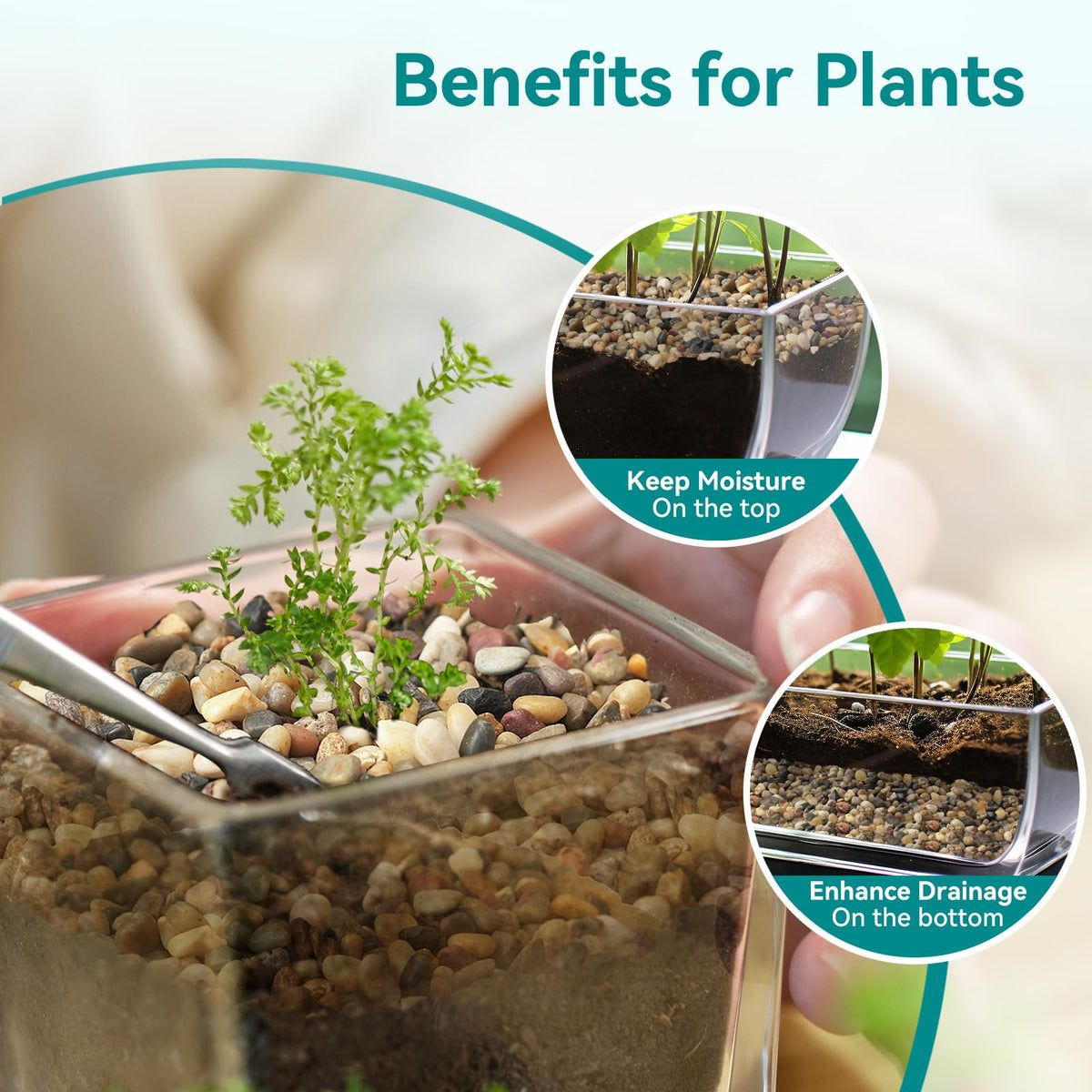 Terrarium and succulent displays benefit from natural fade-resistant stones that stay vibrant.