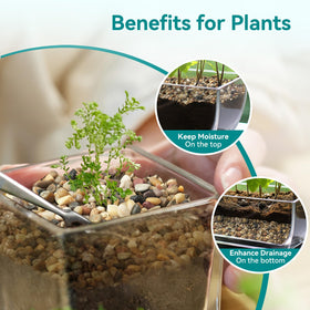Terrarium and succulent displays benefit from natural fade-resistant stones that stay vibrant.