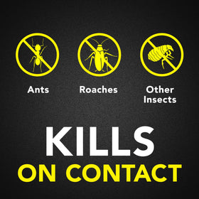 Raid Ant & Roach Killer fragrance-free label indicating odorless operation.