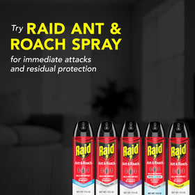 Raid Ant Roach Killer odor-free formula for clean rooms.