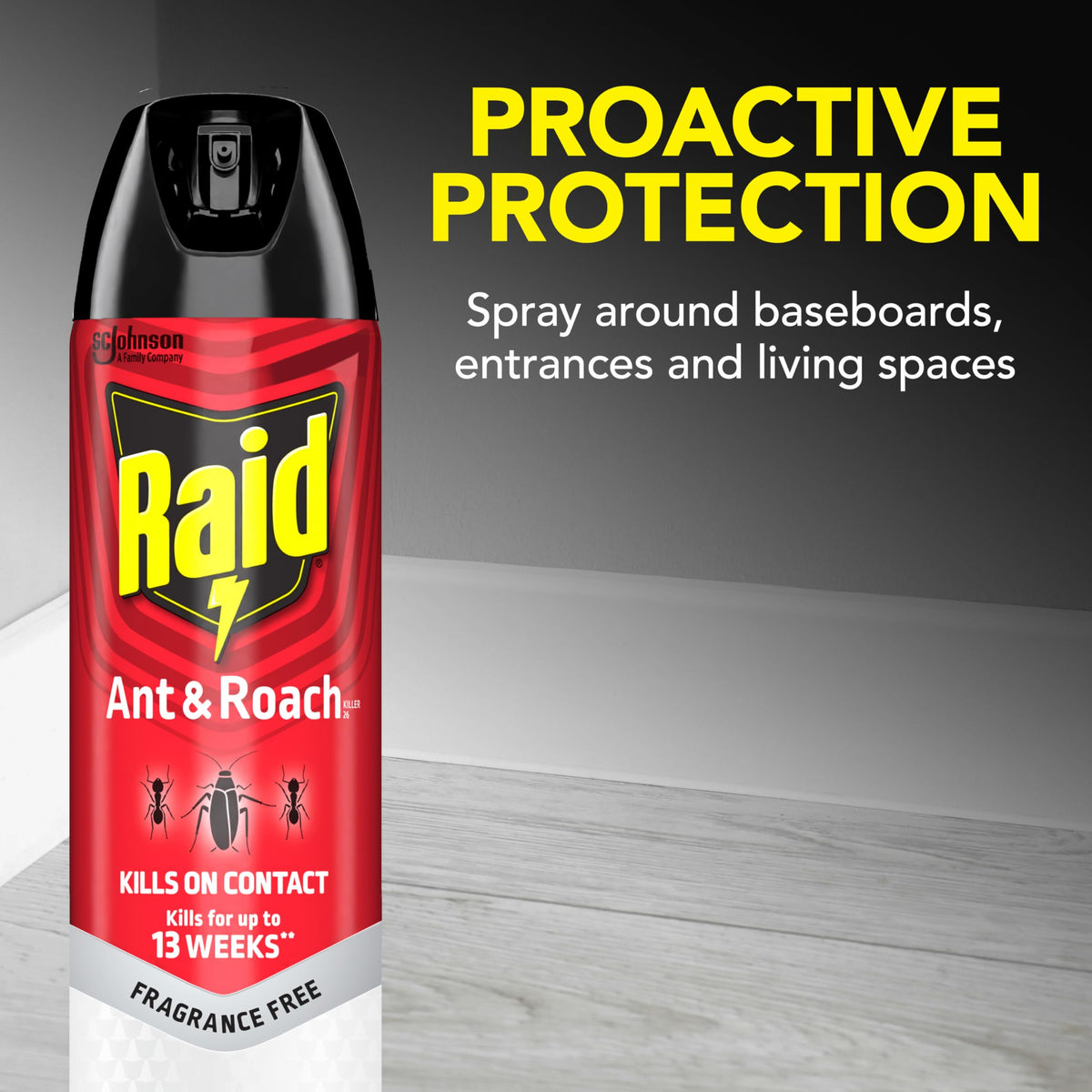 Raid Ant & Roach Killer applied on kitchen counter demonstrating surface use.
