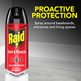 Raid Ant & Roach Killer applied on kitchen counter demonstrating surface use.