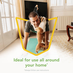 Raid Essentials indoor spray for quick, targeted pest relief without heavy fumes.