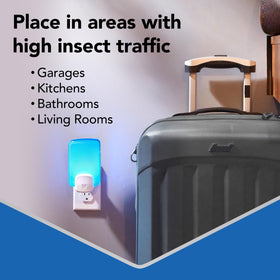 Raid Essentials light trap installed in kitchen demonstrates room-friendly placement.