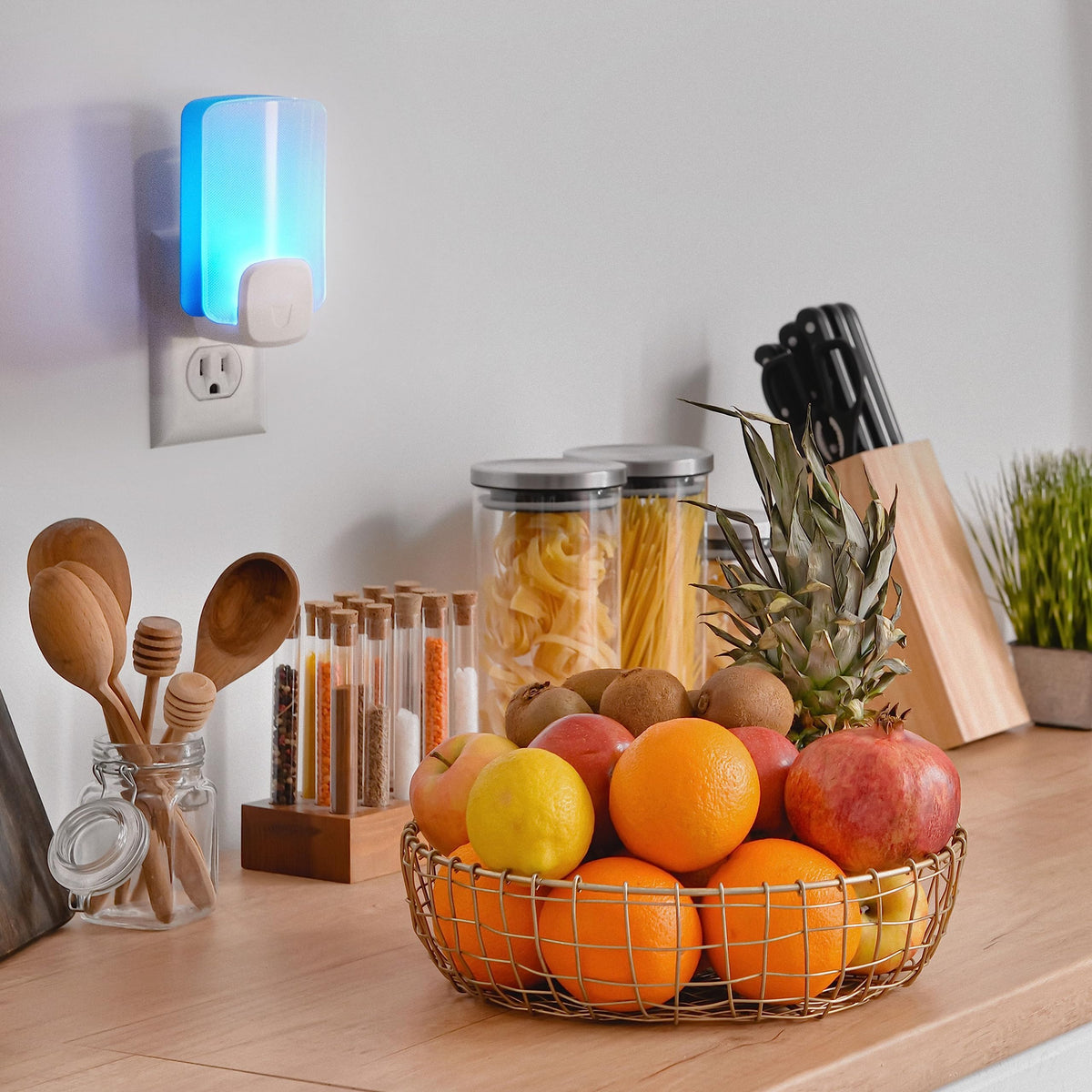 Raid Essentials light-trap no-chemicals design highlights pesticide-free operation.