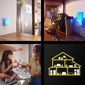 Raid Essentials light-trap in a living room illustrating chemical-free insect control.