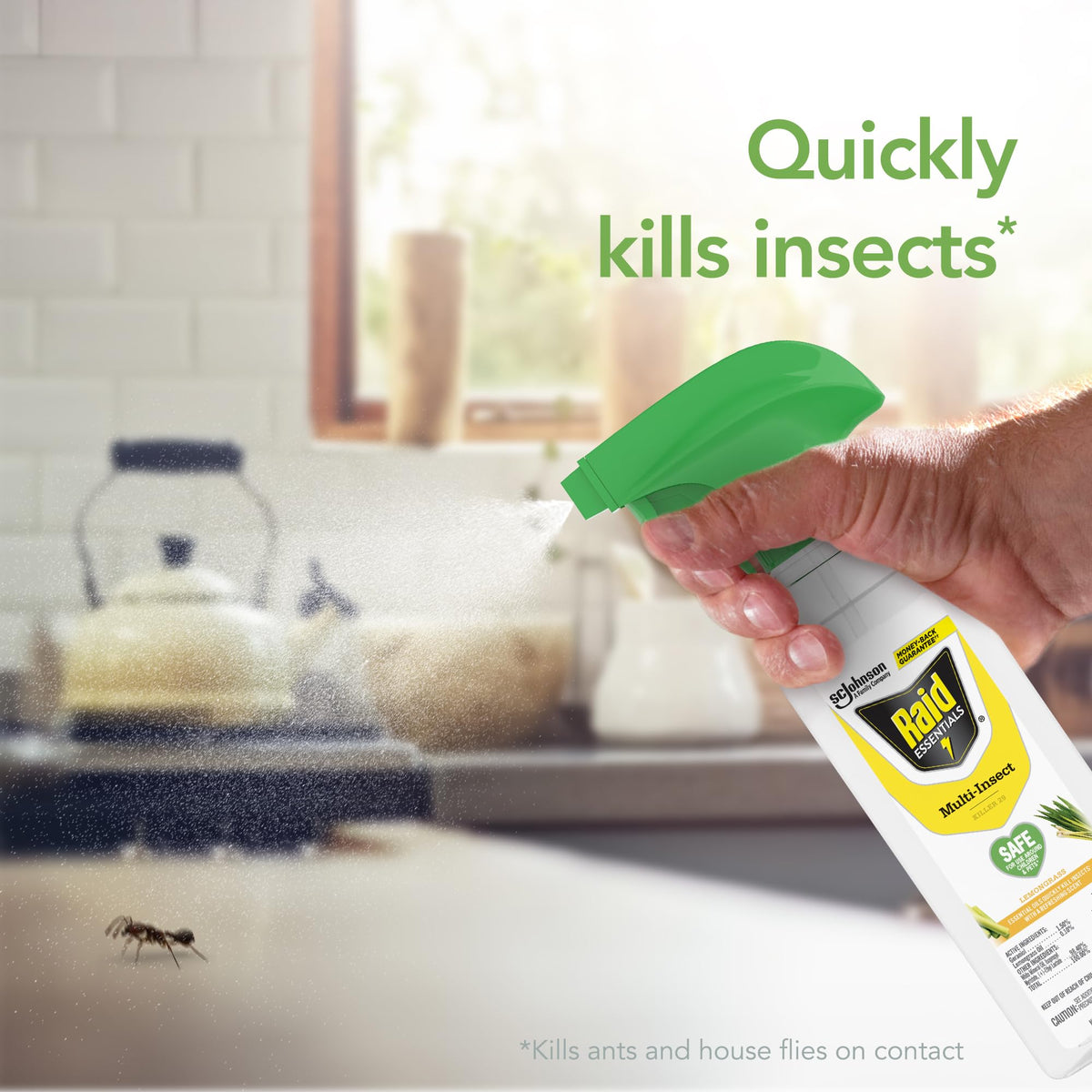 Raid Essentials plant-based formula shown for safe indoor use around family spaces.