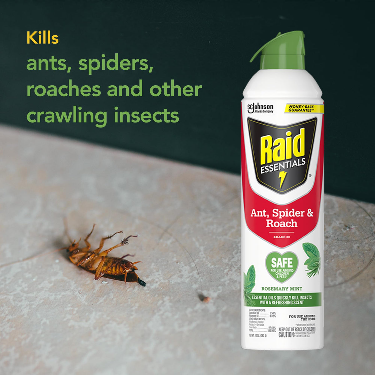 Raid Essentials plant-based ingredients visual emphasizing natural pest control approach