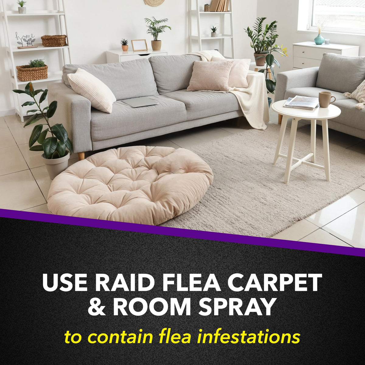 Raid Flea Killer being used on upholstered seating
