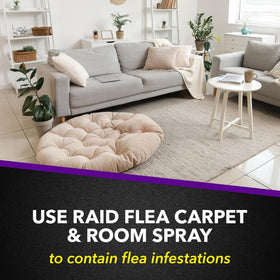 Raid Flea Killer being used on upholstered seating