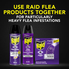 Raid Flea Killer mist spreading over living room furniture