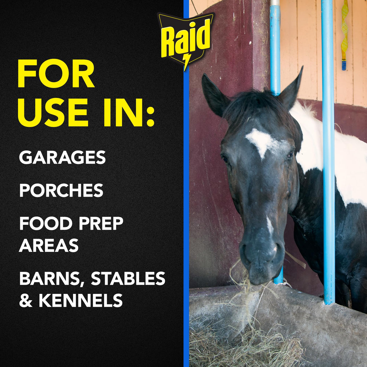In-use Raid FR3-RAID ribbon in kitchen area for pest control