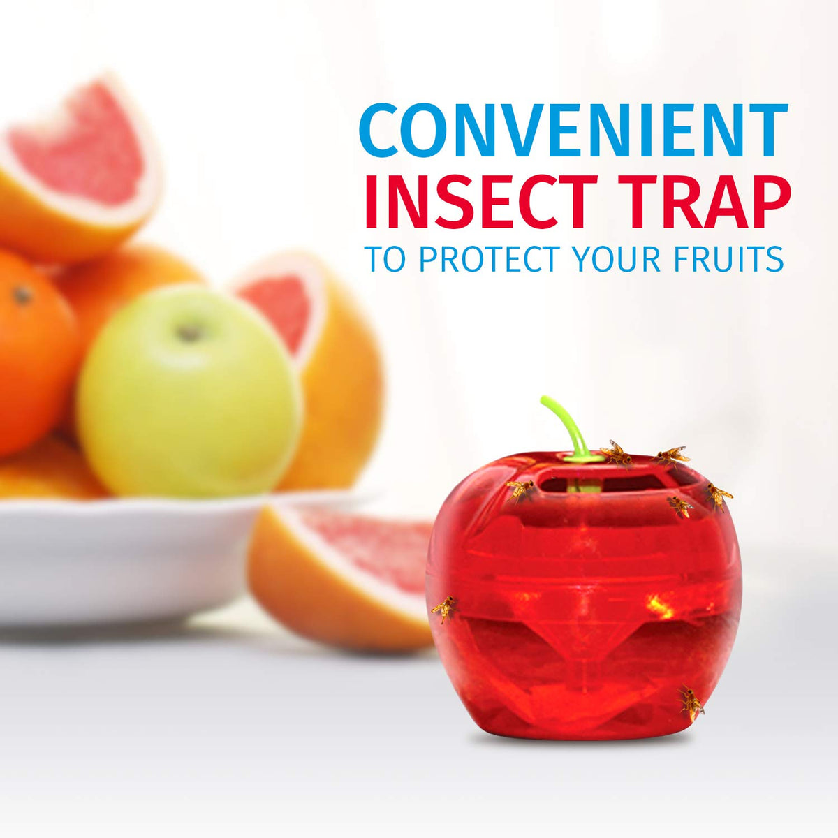 Raid fruit fly trap activates its lure within 30 minutes for quick attraction.