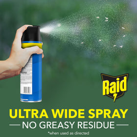 Raid garage and outdoor space control for ongoing pests.