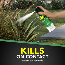 Raid House and Garden aerosol can for safe indoor use near baseboards.