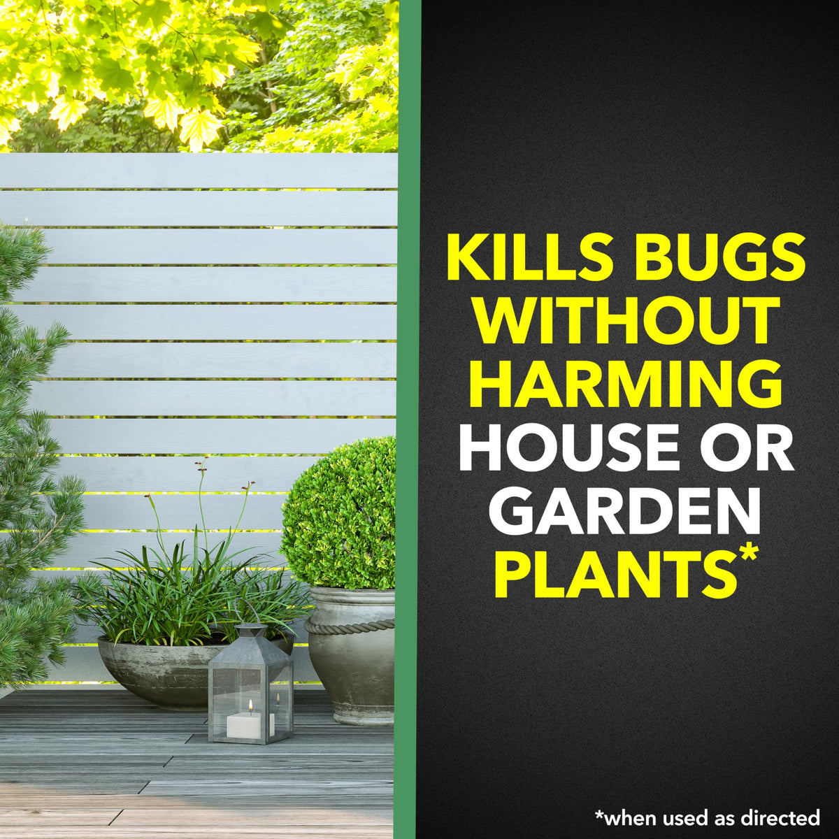 Raid House and Garden Bug Killer used indoors to target common household pests.