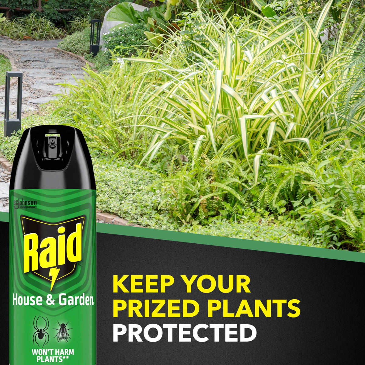 Raid House and Garden Bug Killer near blooming plants helps manage aphids.