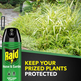 Raid House and Garden Bug Killer near blooming plants helps manage aphids.