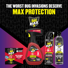 Raid Max Perimeter Protection odor free formula with no oily residue