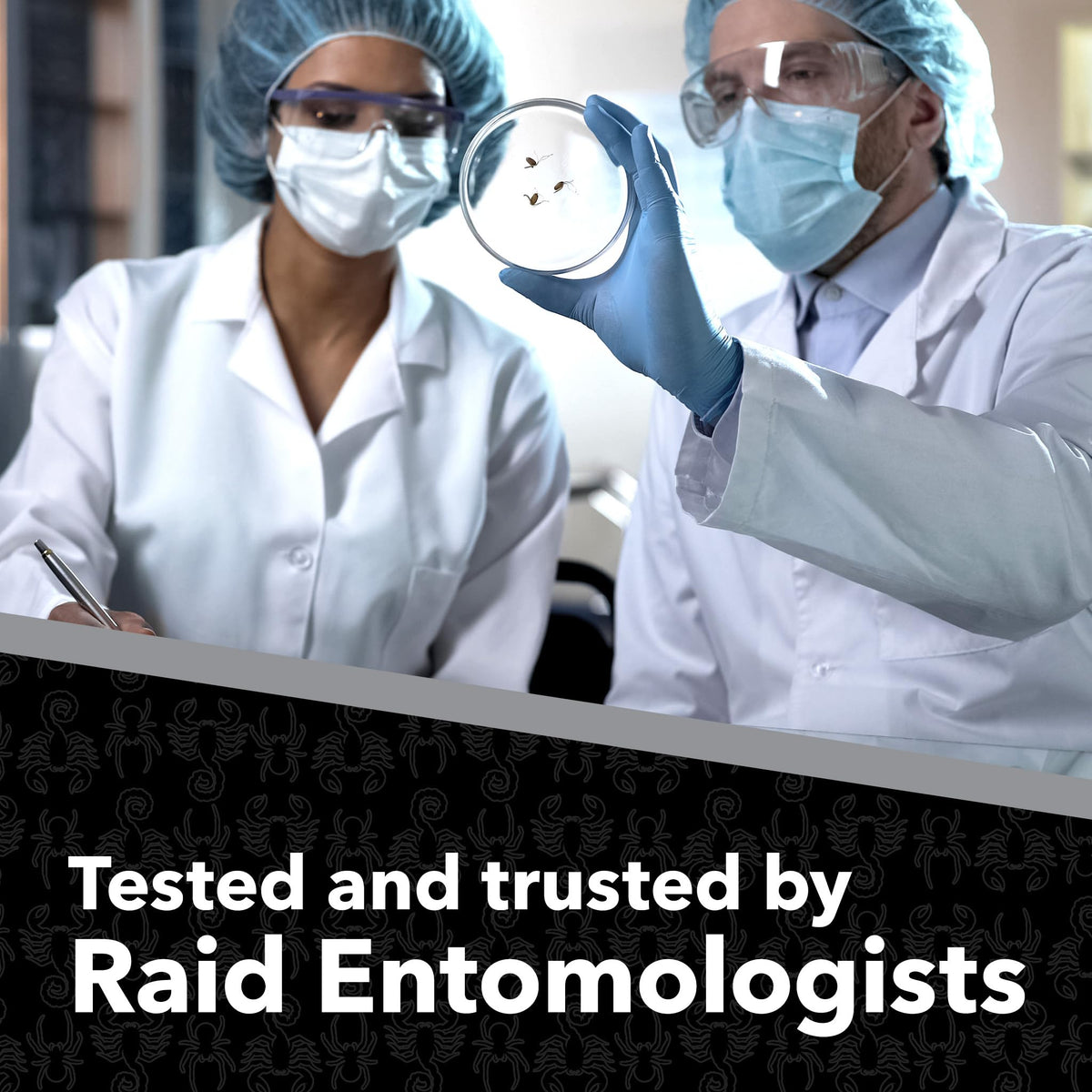 Raid Max Spider Killer fast-contact-kill capability emphasized during product use.