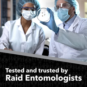 Raid Max Spider Killer fast-contact-kill capability emphasized during product use.