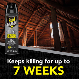 Raid Max Spider Killer indoor-outdoor use pictured on a porch for versatile control.
