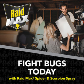 Raid Max Spider Killer kill-list-ants-spiders label graphic communicates target pests.
