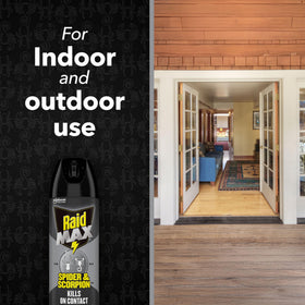 Raid Max Spider Killer no-odor formula highlighted in a kitchen setting.