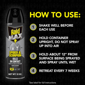 Raid Max Spider Killer non-porous surface re-treatment instructions shown on packaging.