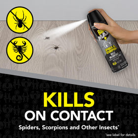 Raid Max Spider Killer spray action shows quick surface coverage for pests.