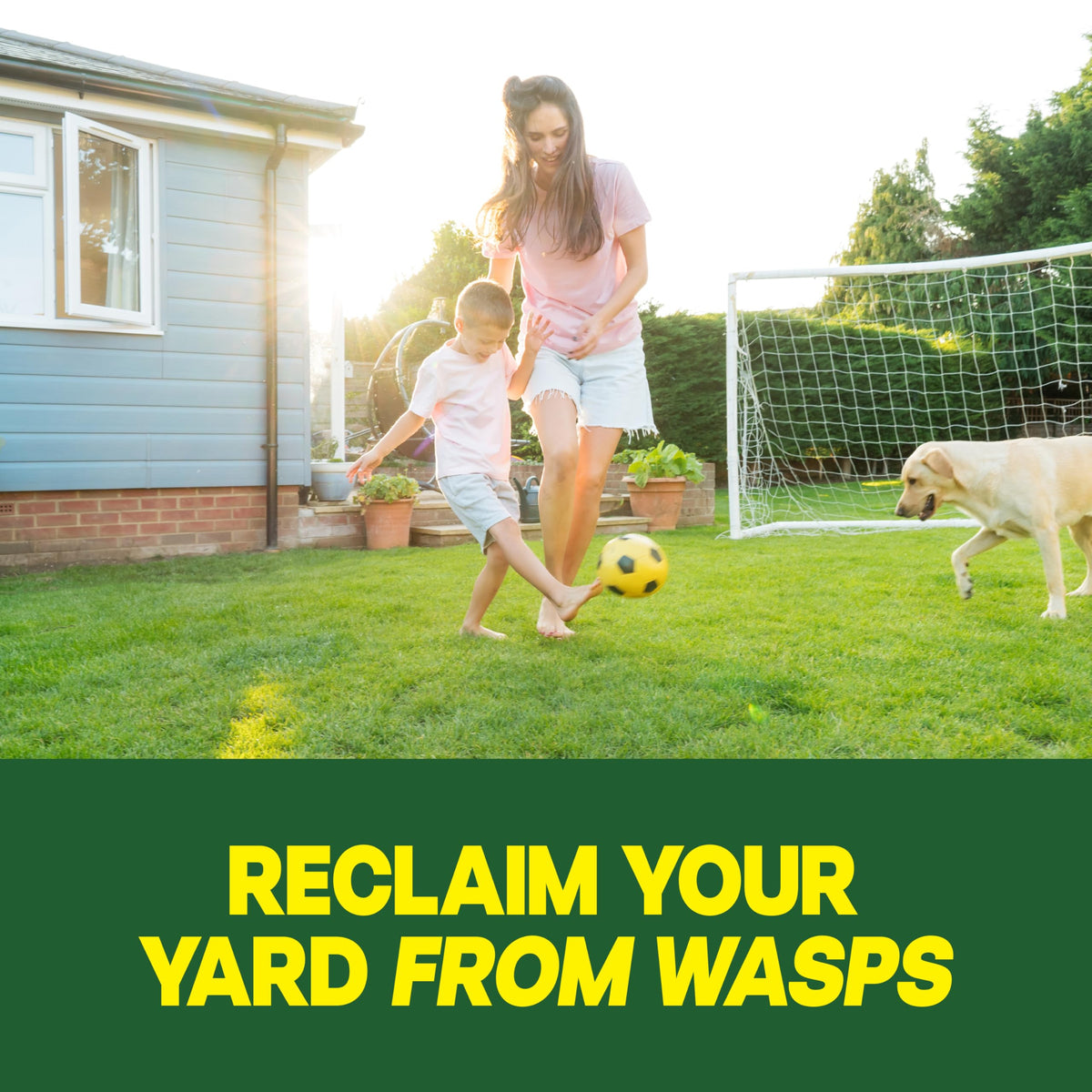 Raid Outdoor Wasp Nest Killer is ideal for evening use when insects settle.