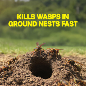 Raid Outdoor Wasp Nest Killer perimeter treatment reduces colony activity around outdoor spaces.