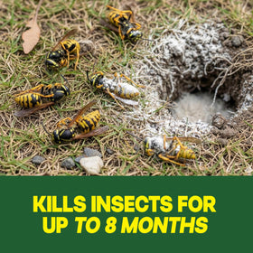 Raid Outdoor Wasp Nest Killer focuses on queen and drones to help knock down the colony.