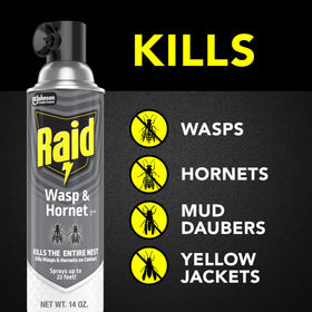 Raid Wasp & Hornet Killer Spray reaches up to 22 feet for safe targeting.