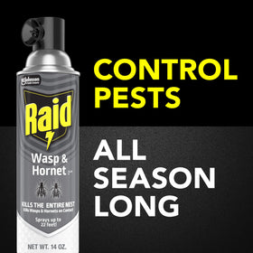 Kills bald-face hornets on contact for fast action with Raid Wasp & Hornet Killer Spray.