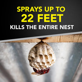 Outdoor-use Raid spray for quick control of exterior insect problems.