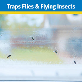 Raid Window Fly Trap on kitchen window highlights clear, non-marking glass compatibility.