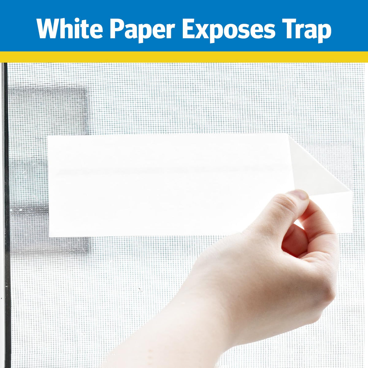 Raid Window Fly Trap packaging features a clean, modern look.