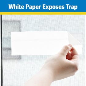 Raid Window Fly Trap packaging features a clean, modern look.