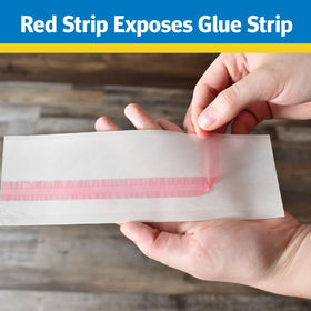 Raid Window Fly Trap traps flies and gnats using light attraction.