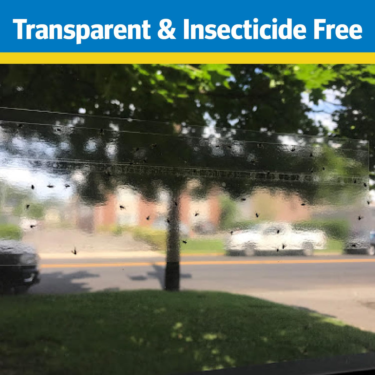 Raid Window Fly Trap mounted on glass demonstrates odorless operation.