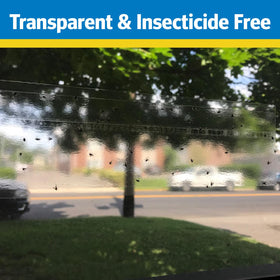 Raid Window Fly Trap mounted on glass demonstrates odorless operation.