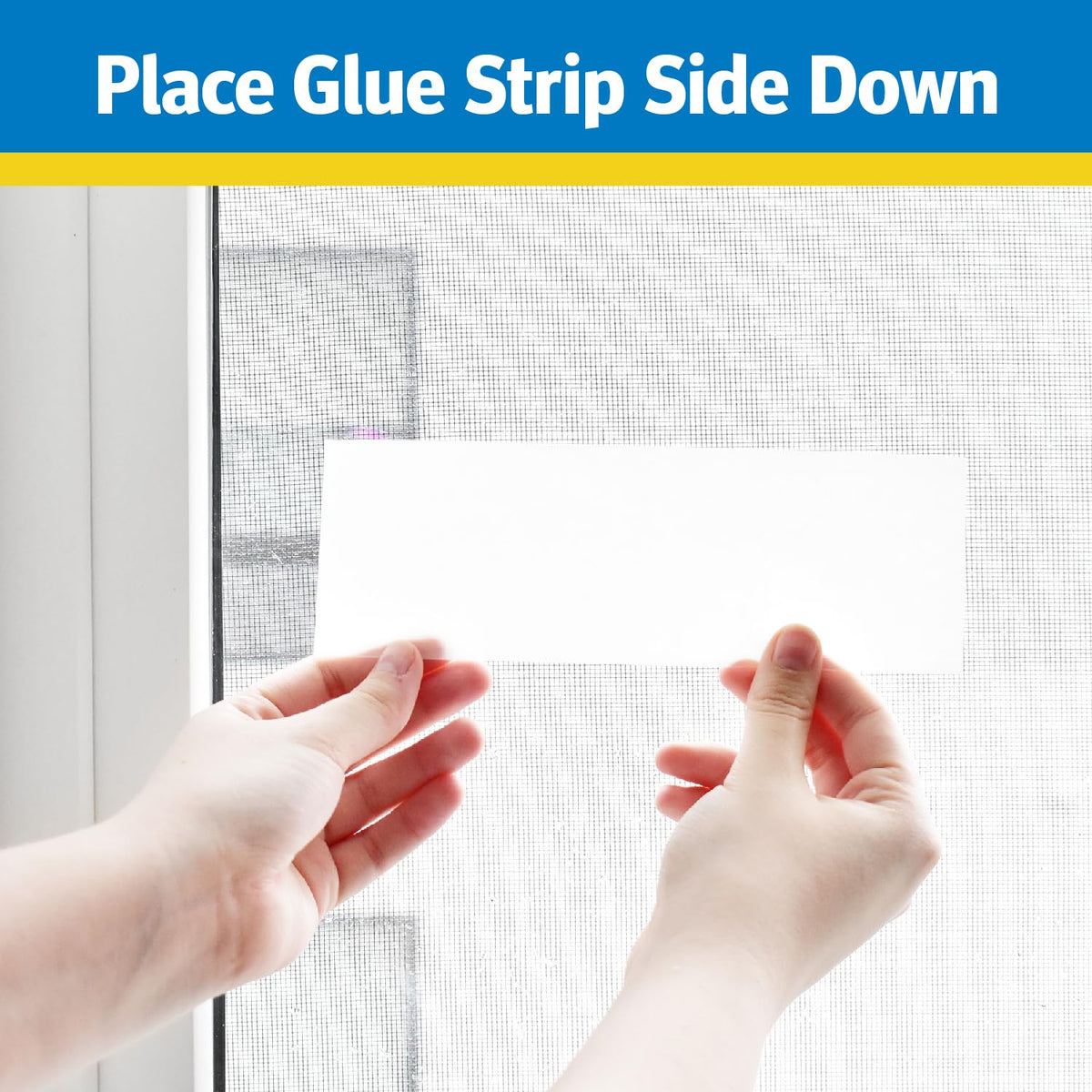 Raid Window Fly Trap product image shows pre-baited glue sheet.