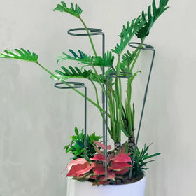 RAIKEDR garden stakes simplify plant support and arrangement